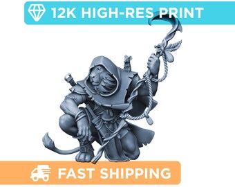 Lionfolk Druid | DnD Mini - Role Playing Miniature - D&D Pathfinder Fantasy RPG Mini - High Quality Resin Print for Tabletop Gaming