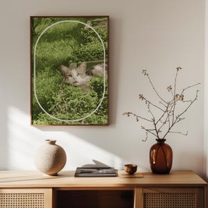 Poster "Gatto in giardino", "Gatto dorme sull'erba" in giardino, regalo per amanti del gatto e del giardino