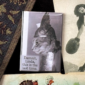May include: A rectangular magnet featuring a grayscale image of a cat wearing a helmet, with the text "Damn it, Linda, this is the last time." Vintage postcards and a patterned textile are in the background.