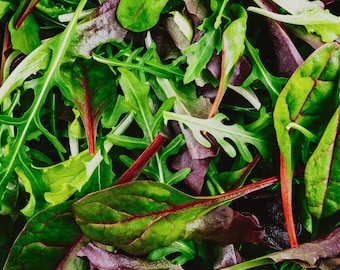 May include: A fresh salad in a gray bowl, featuring a mix of green and red-tinged leafy greens. The salad is set against a rustic wooden background, creating a vibrant and healthy food image. The bowl is round and has a simple design.