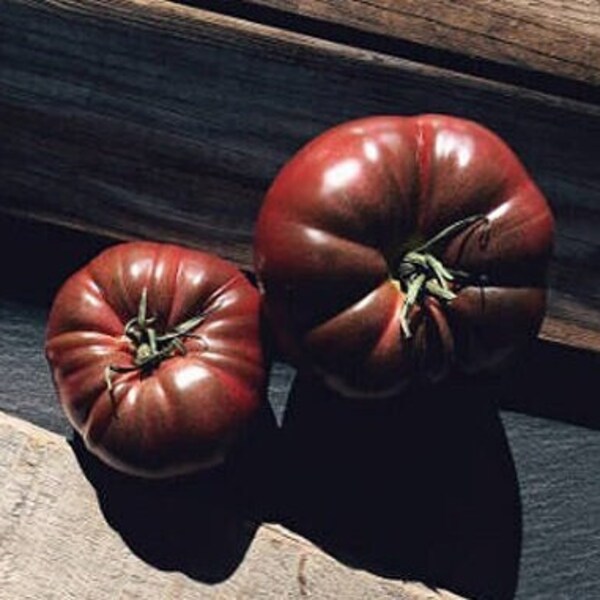 Black Brandywine Heirloom Tomato Seeds - Pennsylvania Heirloom, Large Beefsteak, Organic, Non-GMO