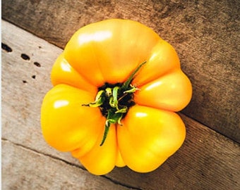 Heirloom Yellow Brandywine Tomato Seeds - Organic, Non-GMO