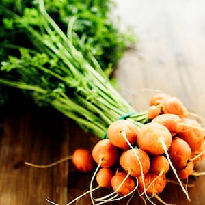 Heirloom Parisian Carrot Seeds - Organic, Non-GMO