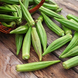 Heirloom Emerald Okra Seeds