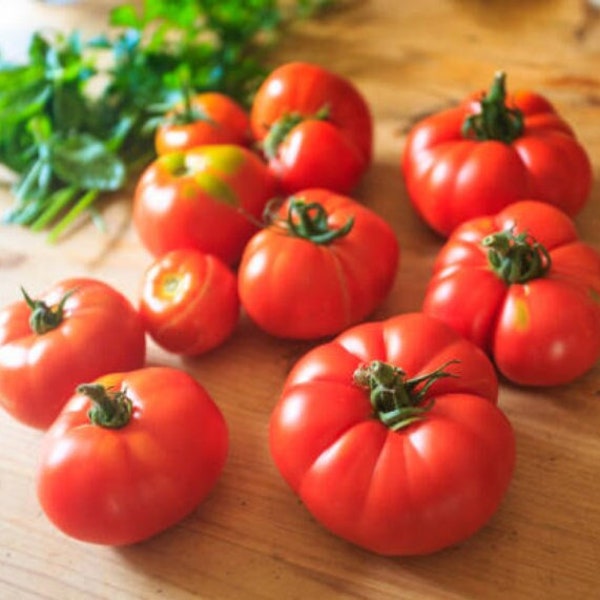 Heirloom Beefsteak Tomato Seeds - Organic, Non-GMO
