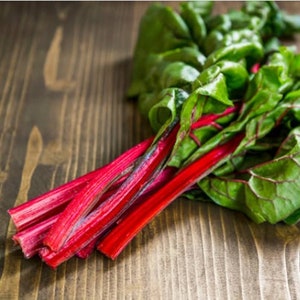 Heirloom Ruby Red Swiss Chard Seeds image 1