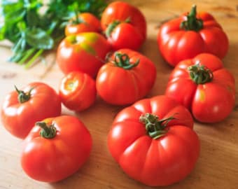 Heirloom Beefsteak Tomato Seeds - Organic, Non-GMO