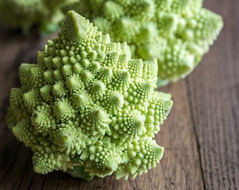 Heirloom Romanesco Broccoli Vegetable Organic Seed Fall Garden Non Gmo Italian Lime Green Container Friendly