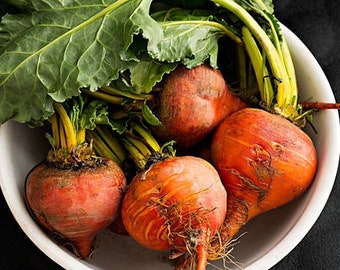 beet, radish & root vegs