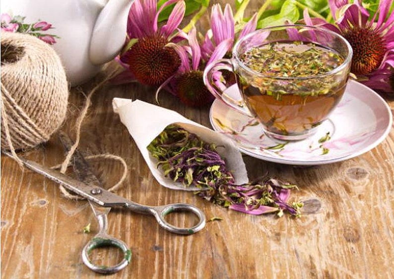 Heirloom Echinacea Purple Coneflower Seeds afbeelding 9