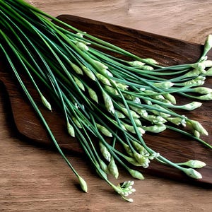 Heirloom Garlic Chives Seeds - Organic, Non-GMO
