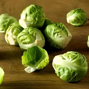 Long Island Improved Brussels Sprouts Heirloom Seeds - Organic, Non-GMO