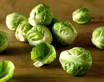 Long Island Improved Brussels Sprouts Heirloom Seeds - Organic, Non-GMO