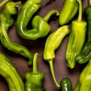 Greek Golden Pepperoncini Heirloom Pepper Seeds - Greek Salads, Tangy Pickled Pepper, Container Friendly, Open Pollinated, Non-GMO
