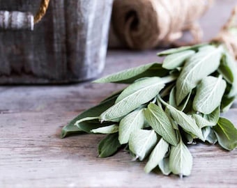 May include: A bunch of fresh sage leaves tied together with twine, resting on a rustic wooden surface.