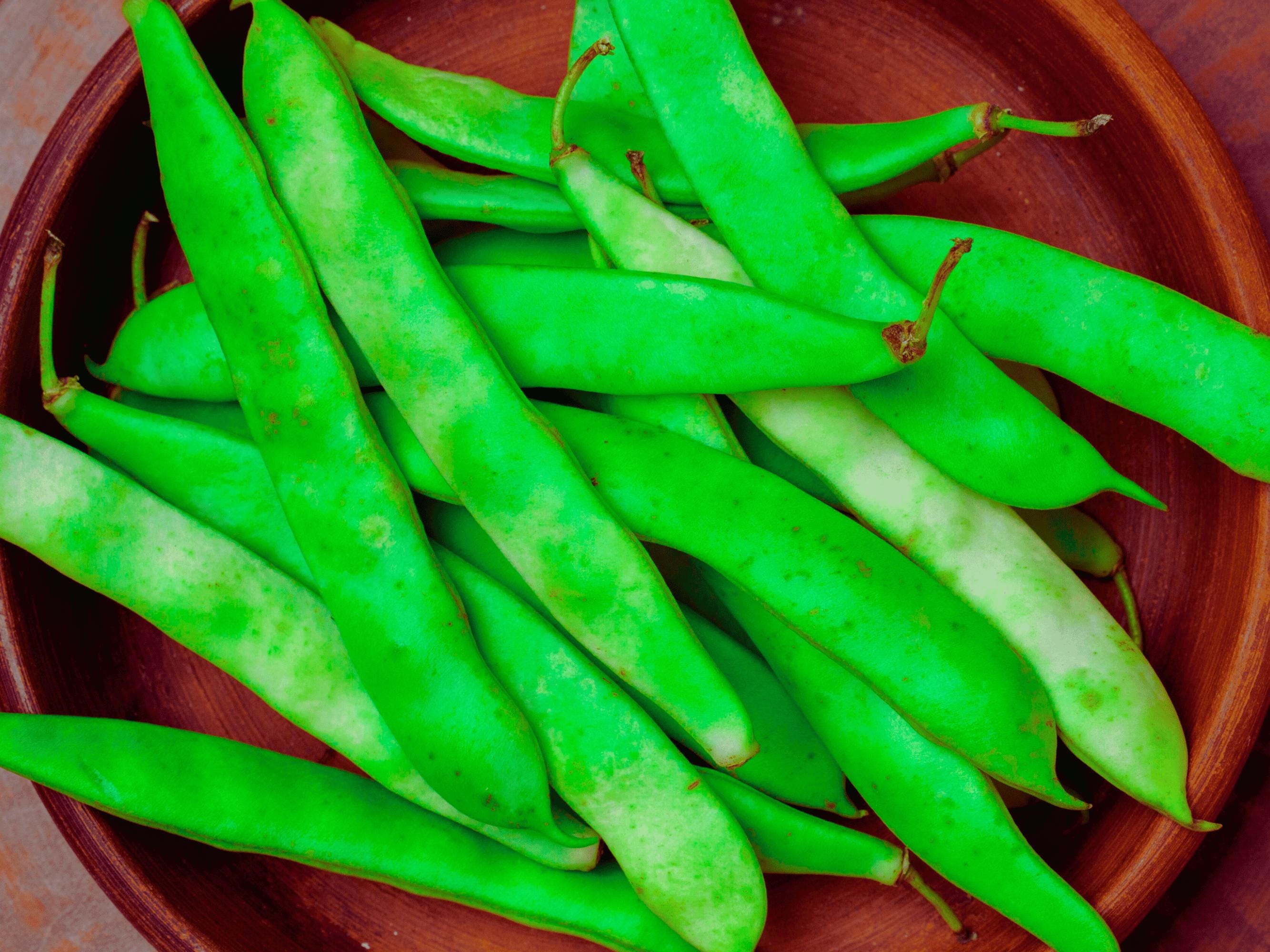 Roma II Bush Bean Seeds: Italian Heirloom Flat Romano Green Beans ...