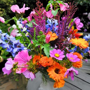 Izzie's Cut Flower Blend Heirloom Wildflower Seeds, Perennial & Annual Pollinator Mix image 1