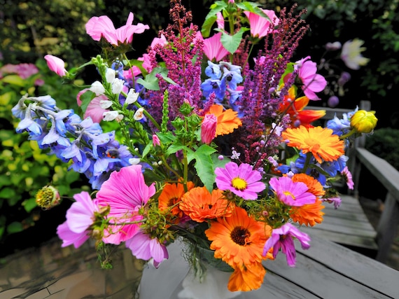 Izzie's Cut Flower Blend Heirloom Wildflower Seeds, Perennial & Annual Pollinator Mix