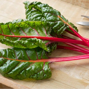 Heirloom Ruby Red Swiss Chard Seeds image 9