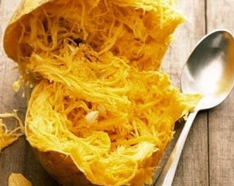 Heirloom Spaghetti Squash Seeds Vegetable Garden Organic Non Gmo