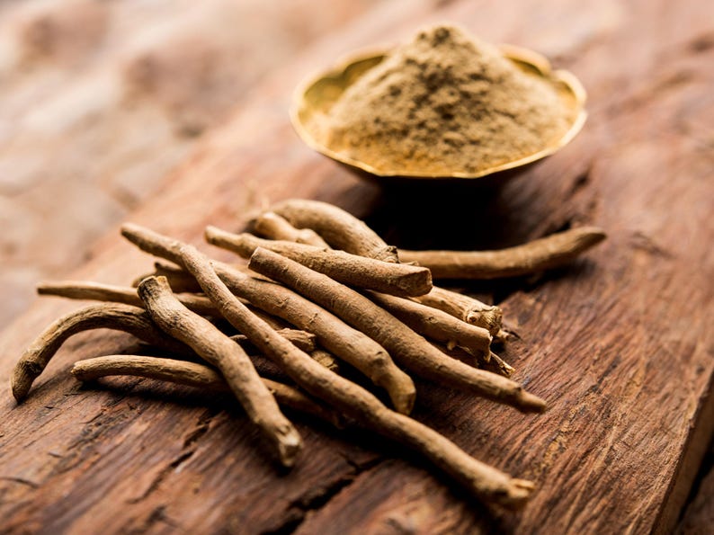 Ashwagandha 30+ Heirloom Seeds - Indian Ginseng, Ayurvedic Medicinal Herb, Open Pollinated, Non-GMO immagine 3