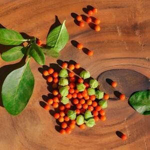 a variety of Ashwagandha fruits and leaves on a wooden surface, including small red Ashwagandha berries, green leaves, and a few orange fruits.