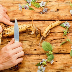 a person cutting up a Medicinal Marshmallow plant with a knife