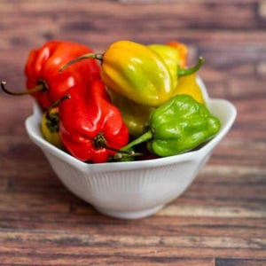 Habanero Heirloom Hot Pepper Seeds