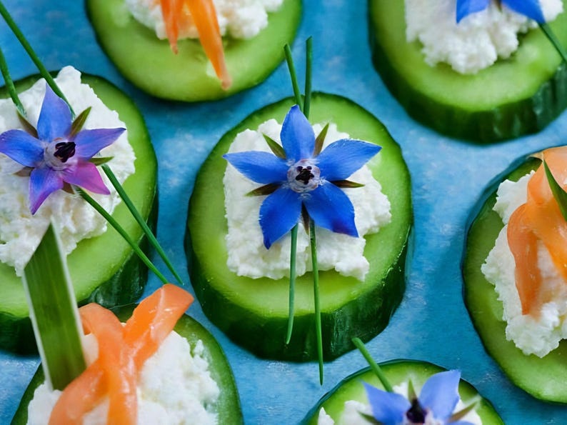 NimbleNitecap Borage Herb Seeds - Thumbnail 4
