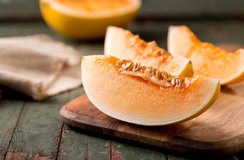 NimbleNitecap Minnesota Midget Cantaloupe Melon Seeds - Thumbnail 2