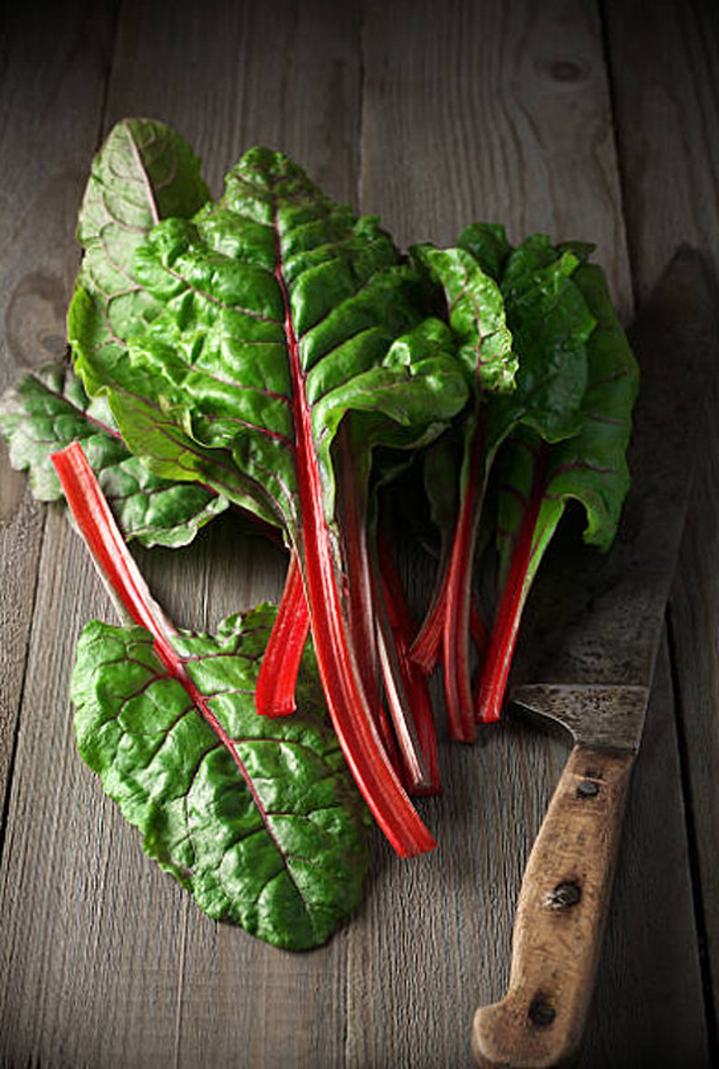 Heirloom Ruby Red Swiss Chard Seeds image 4