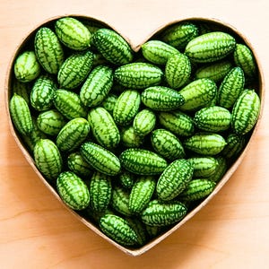 Mouse Melon 15+ Heirloom Cucamelon Seeds