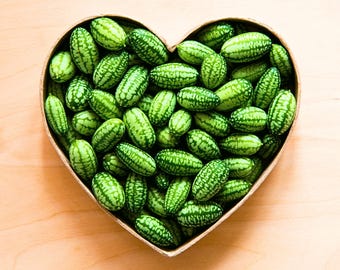 Maus Melon Heirloom Cucamelon Samen - Bio, Non-GMO