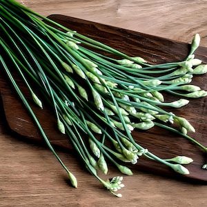 Heirloom Garlic Chives Seeds