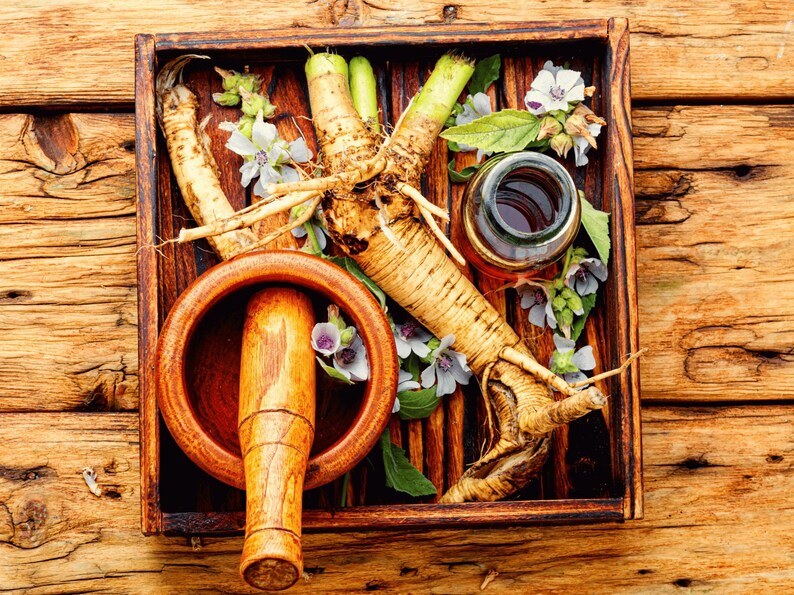 A wooden tray containing various herbs, Medicinal Marshmallow flowers, and a mortar and pestle, all arranged on a wooden surface.