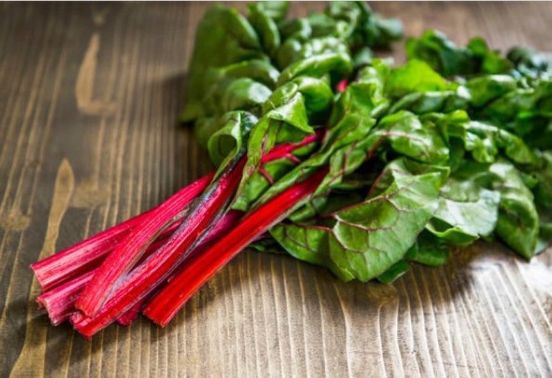 Heirloom Ruby Red Swiss Chard Seeds image 1