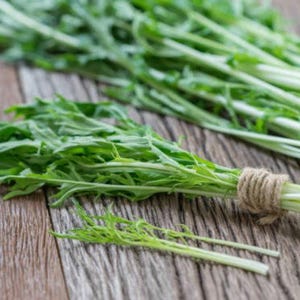 Mizuna Herb Seeds: Organic Heirloom Japanese Mustard Greens