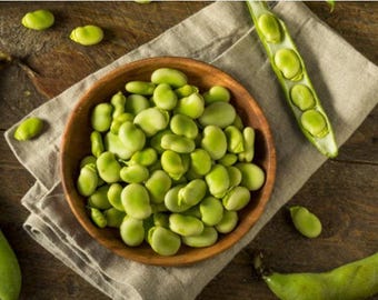 Windsor Fava Bean Heirloom Seeds - Organic, Non-GMO