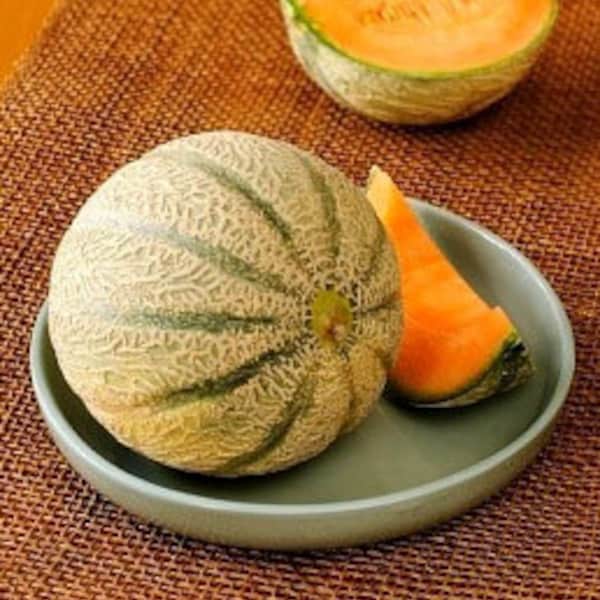 Heirloom Hale's Best Jumbo Cantaloupe/Muskmelon Melon Seeds - Organic, Non-GMO