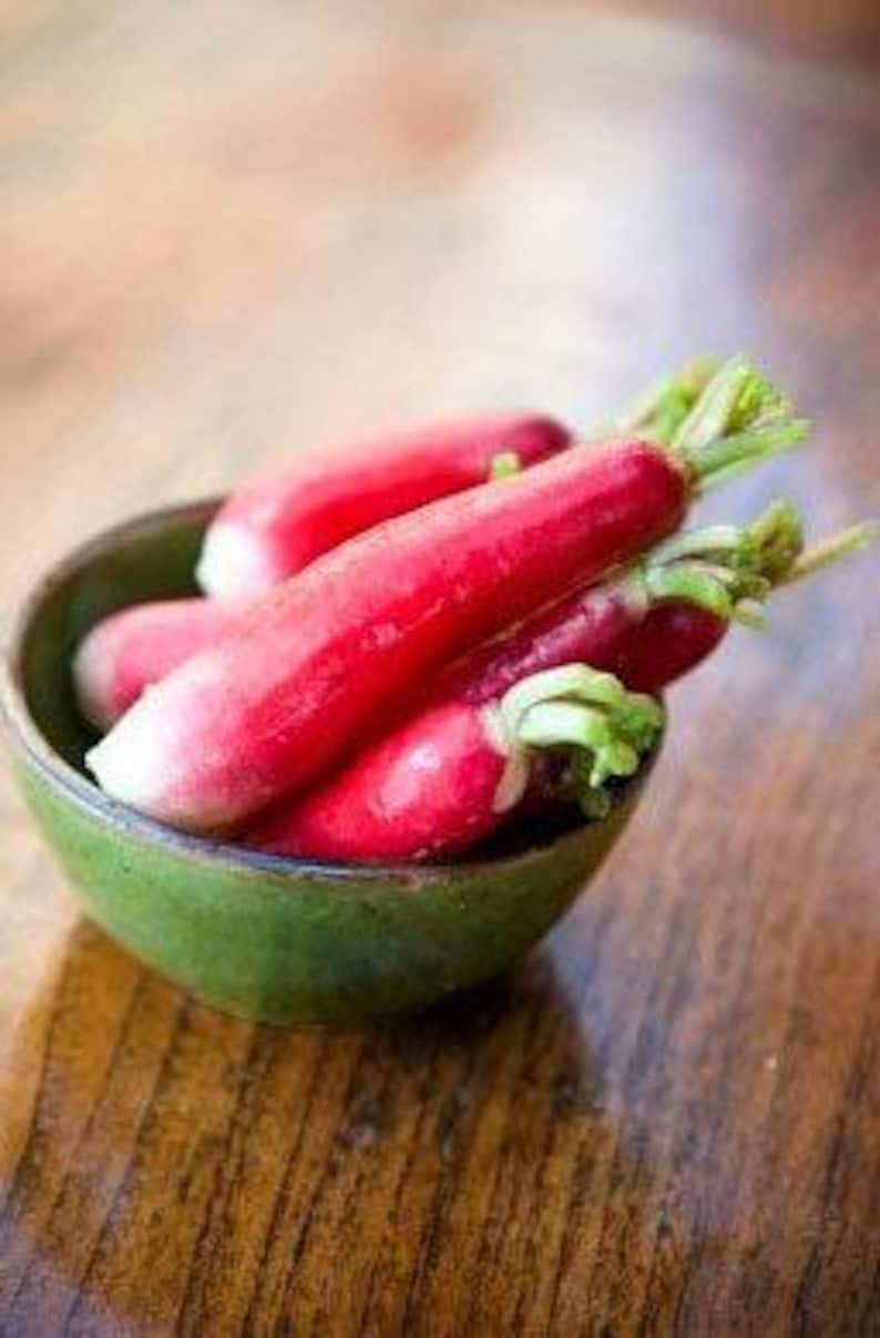 French Breakfast Heirloom Radish Seeds - Organic, Non-GMO image 8