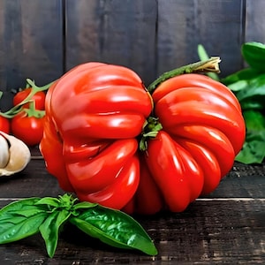 Heirloom Costoluto Genovese Tomato Seeds