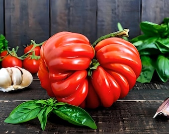 Heirloom Costoluto Genovese Tomato Seeds