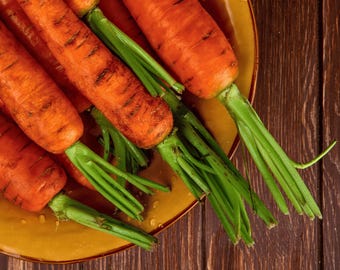 Heirloom Danvers Carrot Seeds - Organic, Non-GMO