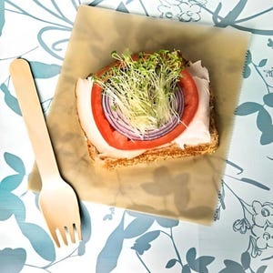Heirloom Chia Sprout Seeds - Organic Microgreens, Herb Sprouts, Easy To Grow, Non-GMO