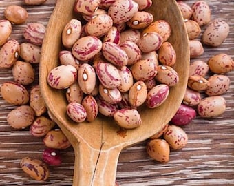 Heirloom Pinto Bean Seeds: Organic, Non-GMO, Half Runner Variety