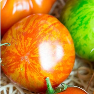 Heirloom Pineapple Beefsteak Tomato Seeds - Organic, Non-GMO