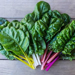 Heirloom Rainbow Swiss Chard Seeds - Organic, Non-GMO