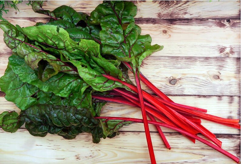 Heirloom Ruby Red Swiss Chard Seeds image 2