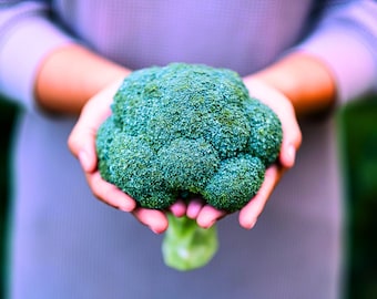 May include: A person is holding a large, green broccoli floret in their hands.
