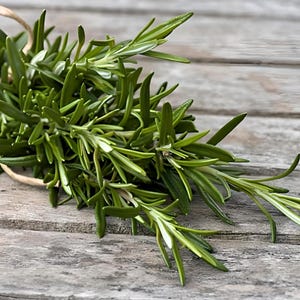 Rosemary Heirloom Herb Seeds - Organic, Non-Gmo, Container Friendly